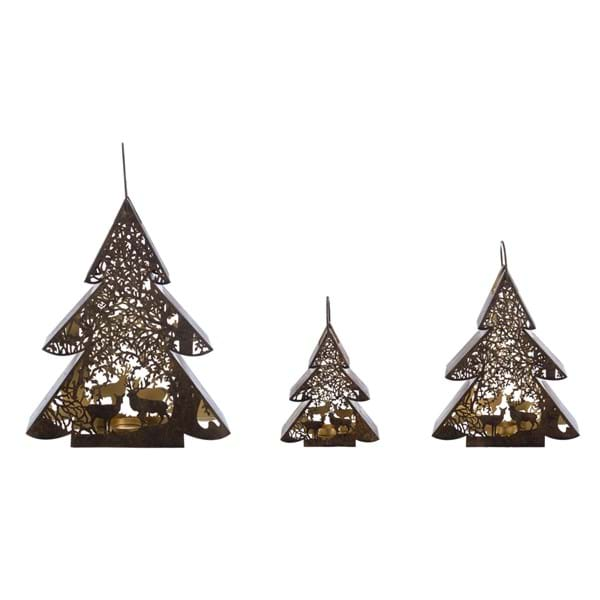 SET 3  P.TA CANDELA ALBERO A36603